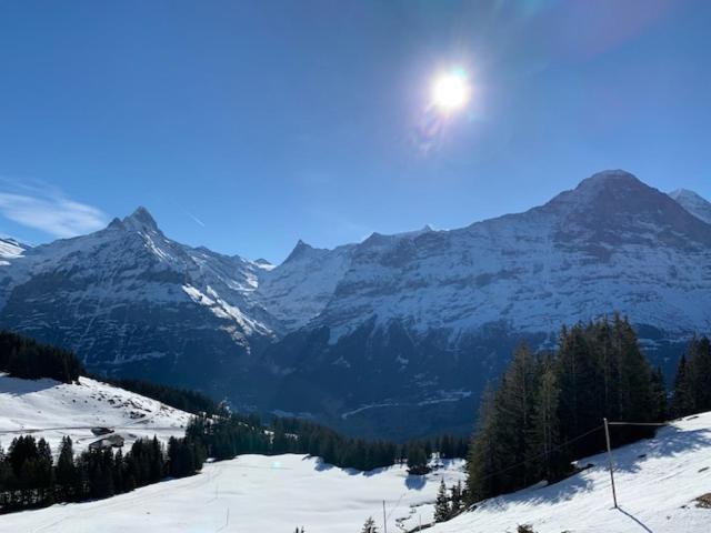 Grindelwald-Sunneblick Lejlighed Eksteriør billede